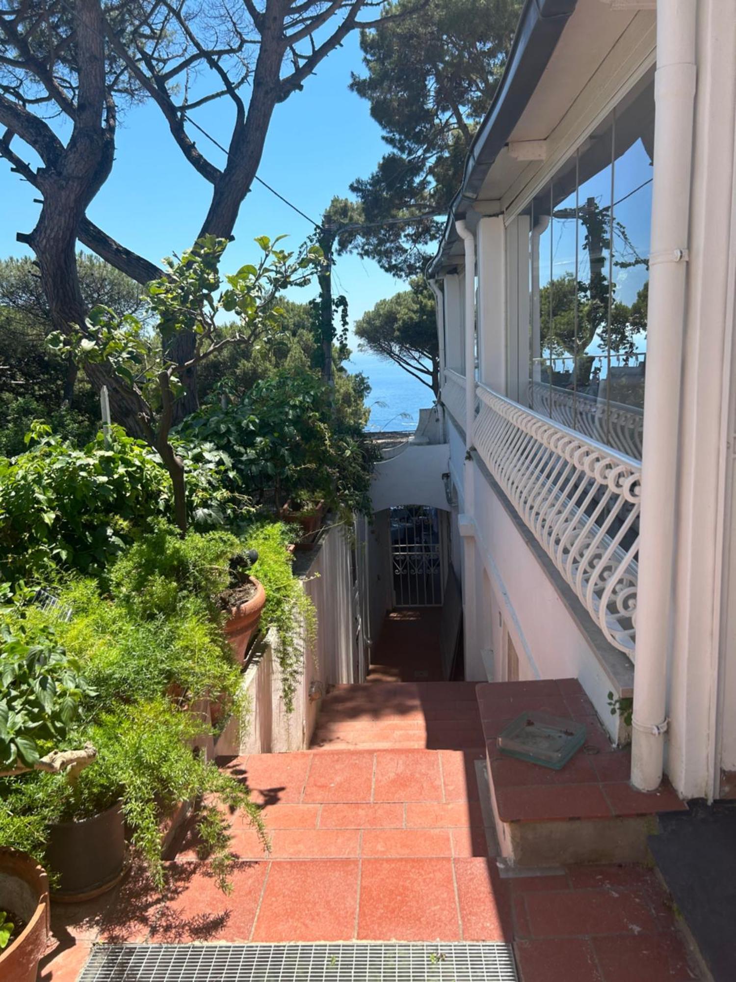 Augustus Park Center * Capri